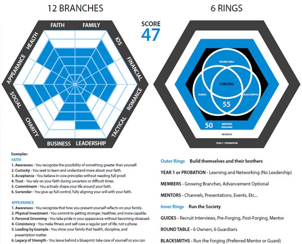 Accountability and mentorship frameworks